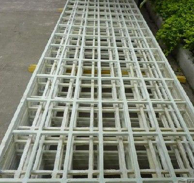 ����������g